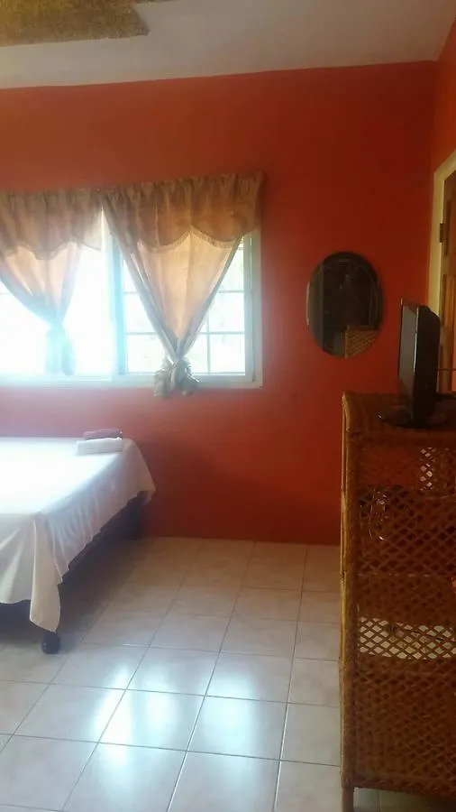 Tropical Breeze Villa Negril